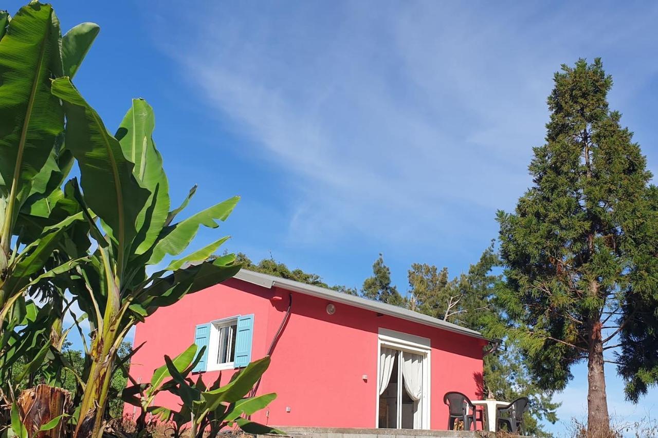 Au Coeur Des Plantations Guest House La Possession Luaran gambar