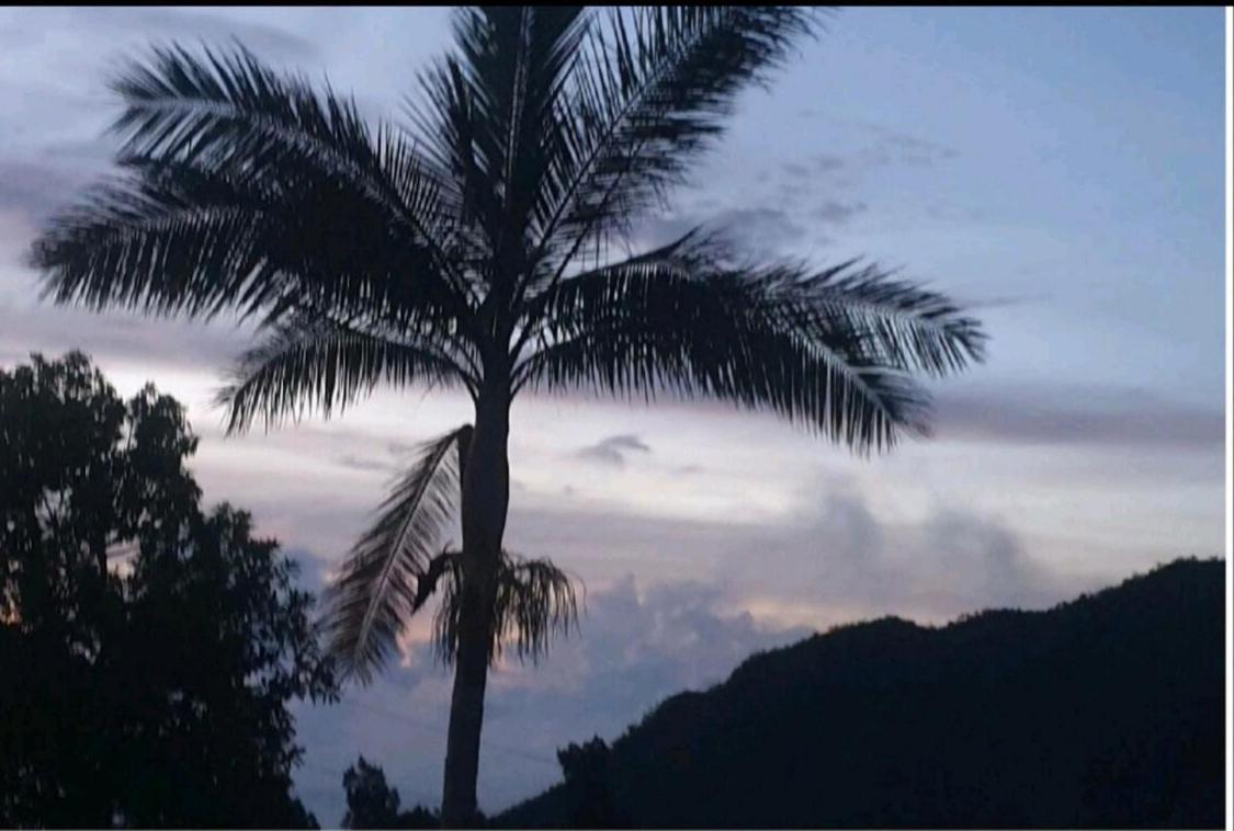 Au Coeur Des Plantations Guest House La Possession Luaran gambar