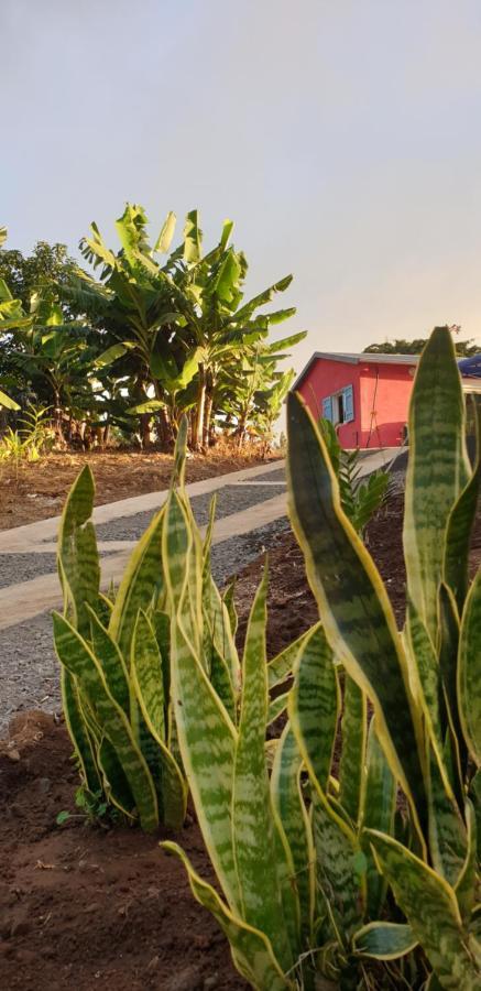 Au Coeur Des Plantations Guest House La Possession Luaran gambar