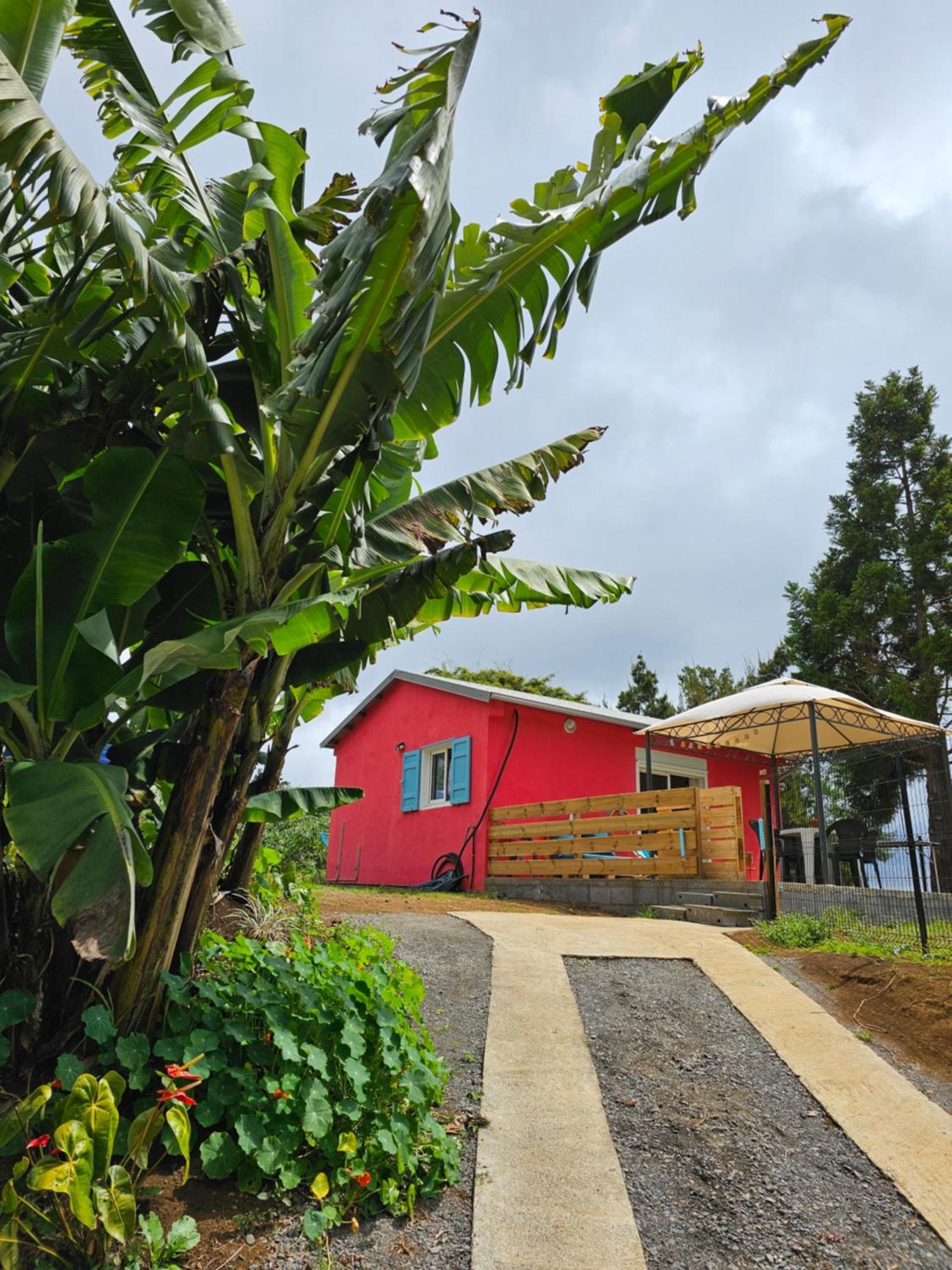 Au Coeur Des Plantations Guest House La Possession Luaran gambar