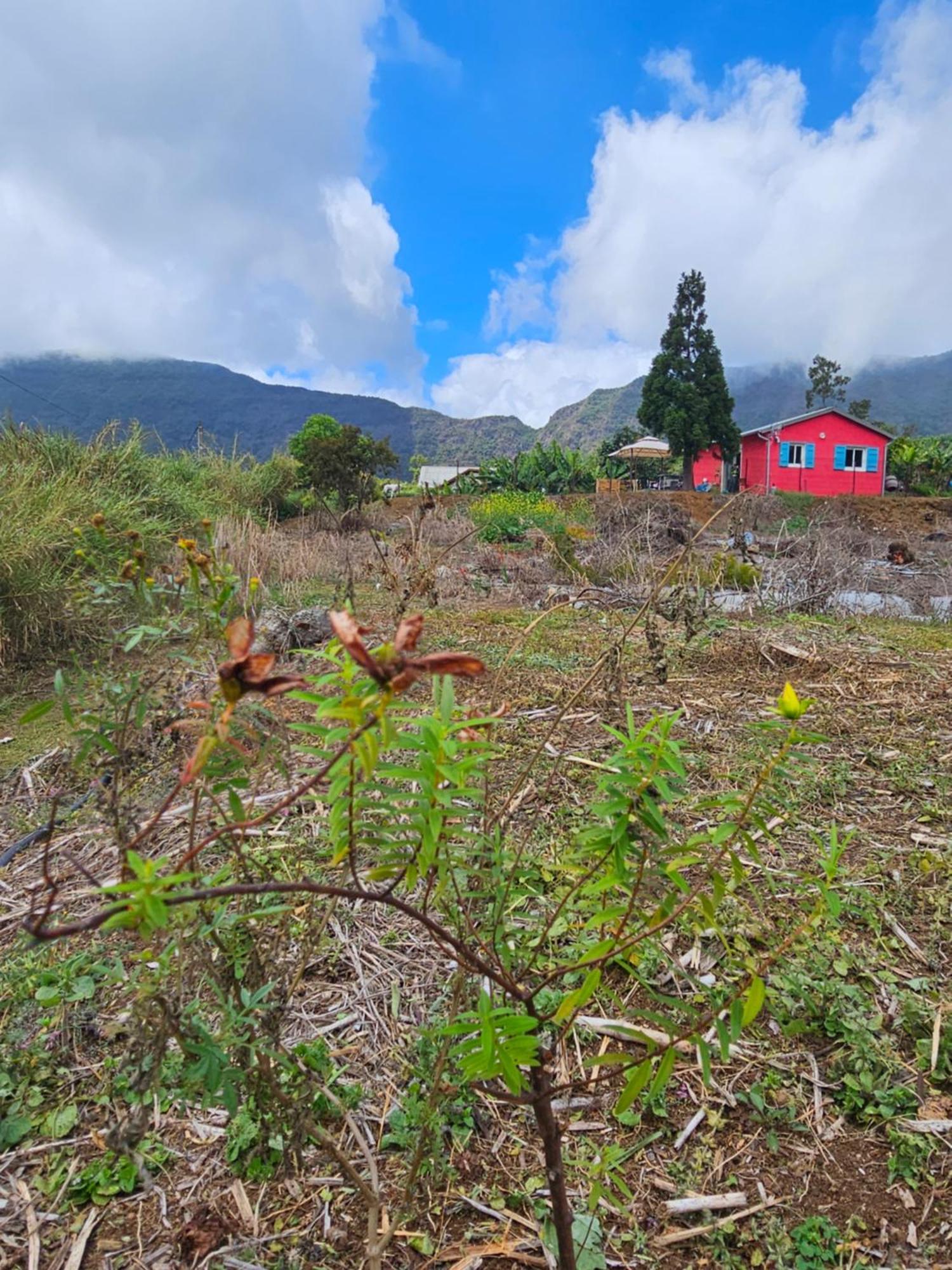 Au Coeur Des Plantations Guest House La Possession Luaran gambar
